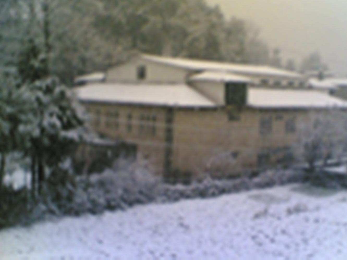 Langdale Manor Hotel Nainital Bagian luar foto